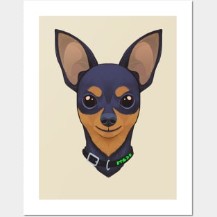 Pinscher Cute Posters and Art